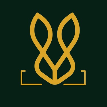 Bold Bunny